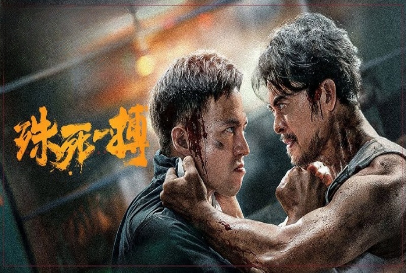 决死一搏年夜片中文字幕一区在线观看