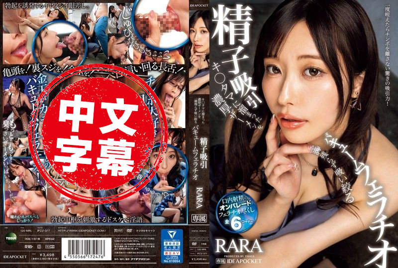 水川99九九精品免费视频观看